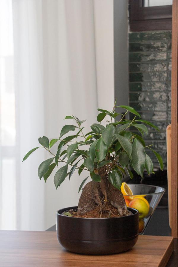 Artisan'S Dwelling Apartment เบลเกรด ภายนอก รูปภาพ